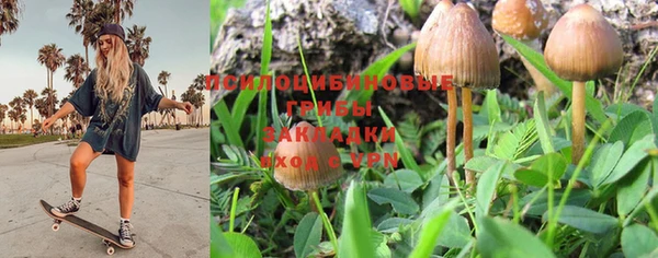 кокс Баксан