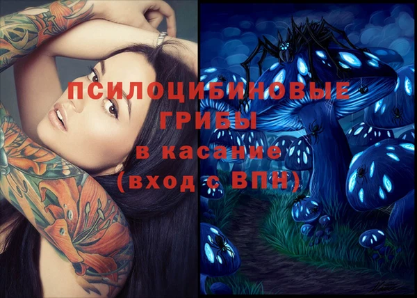 кокс Баксан