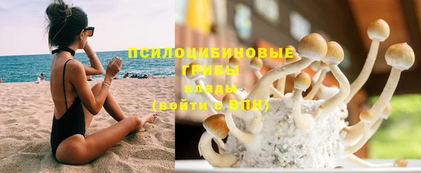 кокс Баксан