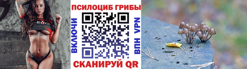 наркотики  Высоцк  Псилоцибиновые грибы мухоморы 